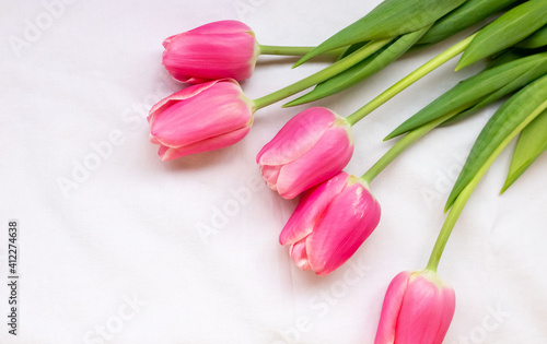 Fototapeta Naklejka Na Ścianę i Meble -  Five pink tulips with green leaves on a white background