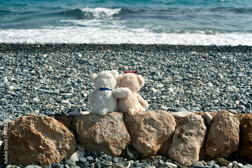 Two teddy bears on stone sea beach