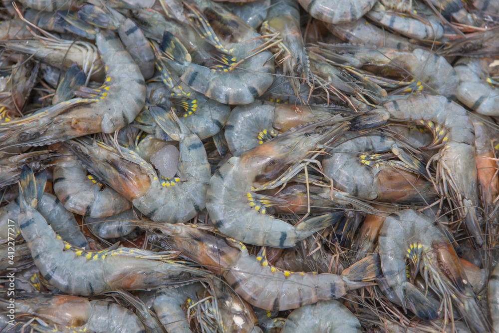 fresh shrimps on a market stall in Colombo City, Sri Lanka