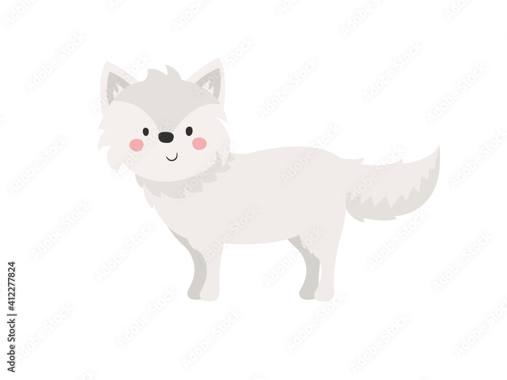 Obraz premium arctic fox