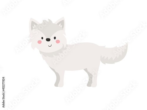 arctic fox