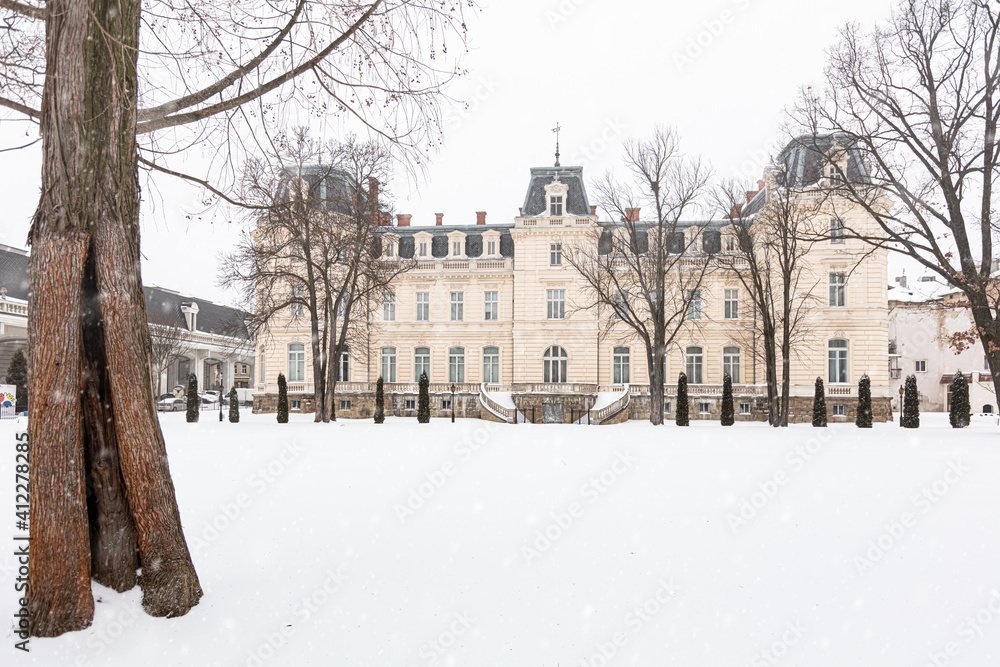 Potocki palace in Lviv in winter