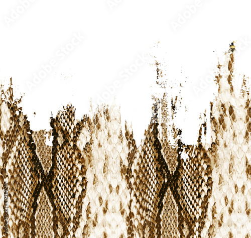 Photos Seamless brush effects snake texture