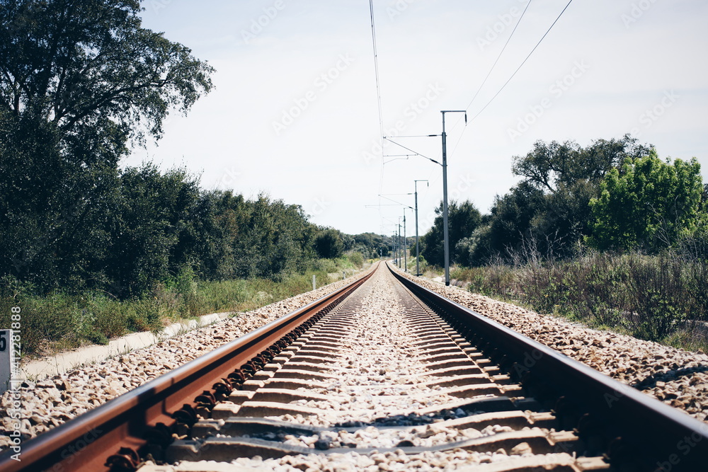 Fototapeta premium Traintrack