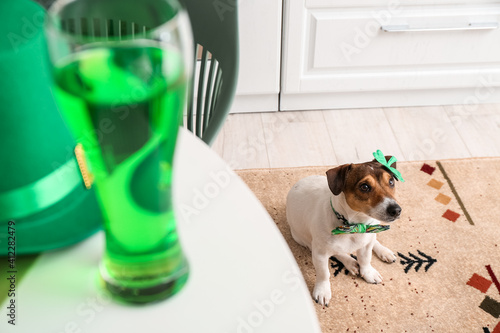 Cute dog at home. St. Patri...