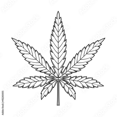 Marijuana leaf or cannabis leaf weed icon