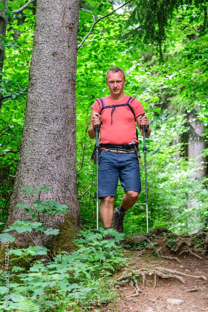 Wanderer unterwegs im Wald Wanderer unterwegs im Wald