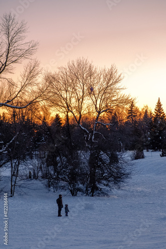 sunset in the park