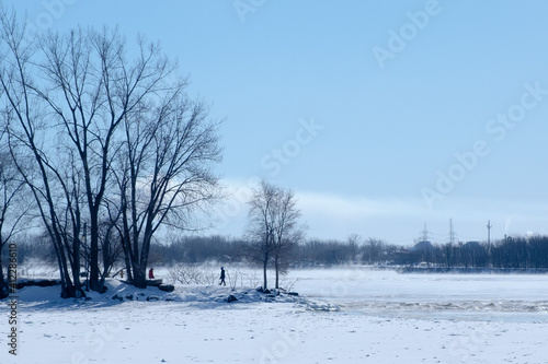 snow covered trees