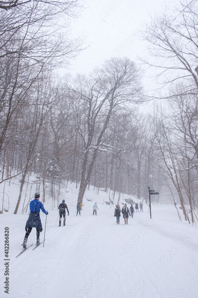 people walking in winter park