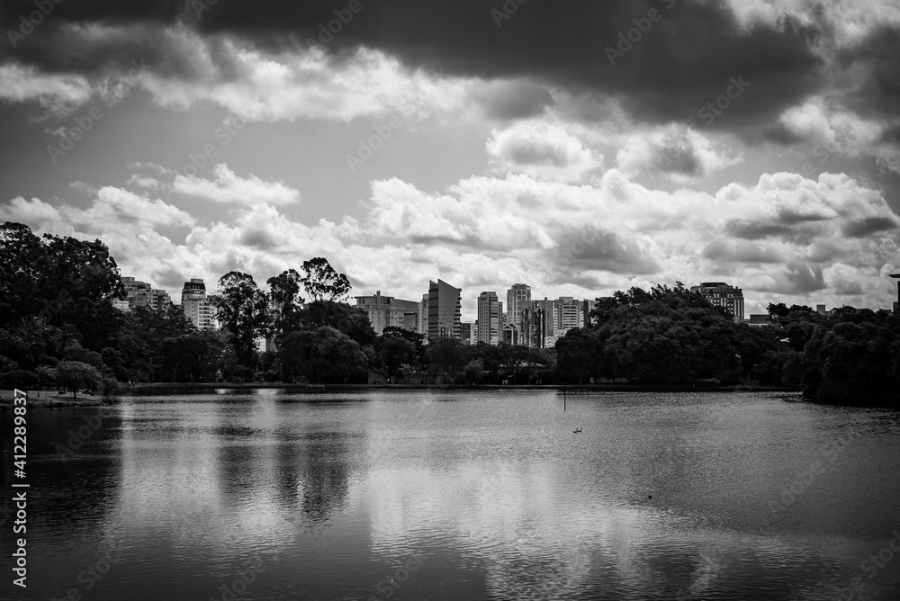 Fototapeta premium ibirapuera park