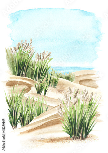 Coastal dune  sea grass  beach on the background of the sea. Hand drawn watercolor illustration isolated on white background