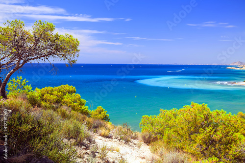 Beautiful landscape with the sea, Spain, postcard, calendar, poster Tree and sea