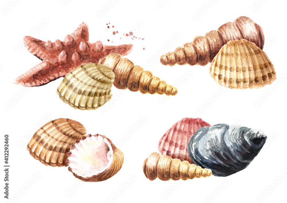 Starfish and seashells set. Hand drawn watercolor illustration, isolated on white background Starfish and seashells set. Hand drawn watercolor illustration, isolated on white background