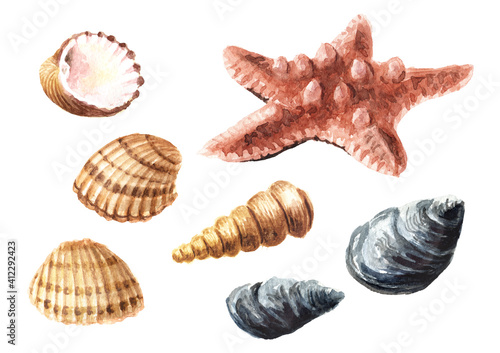 Starfish and seashells set. Hand drawn watercolor illustration isolated on white background
