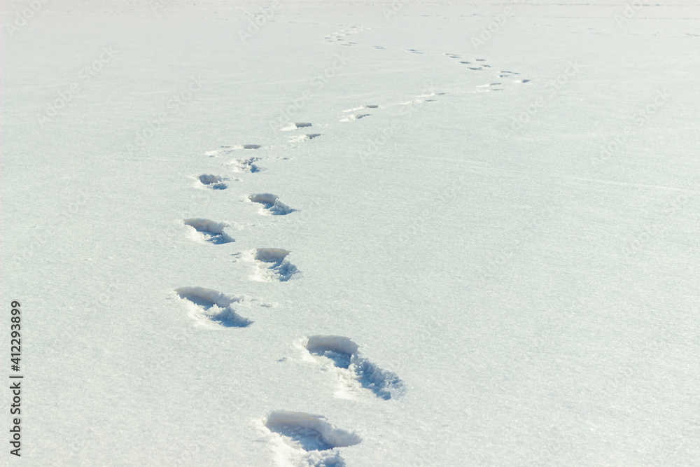 Human footprints on snow. Footsteps on winter frozen lake surface Human footprints on snow. Footsteps on winter frozen lake surface