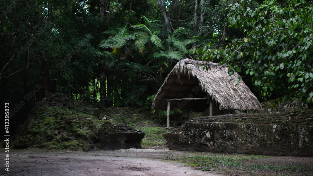 Thatched-roof hut in the jungle