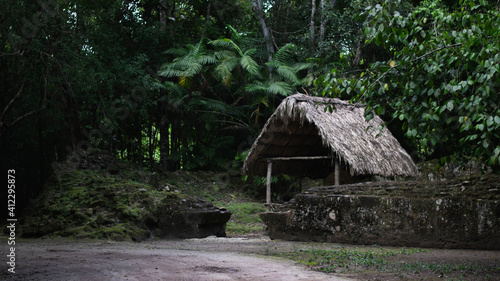 Thatched-roof hut in the jungle