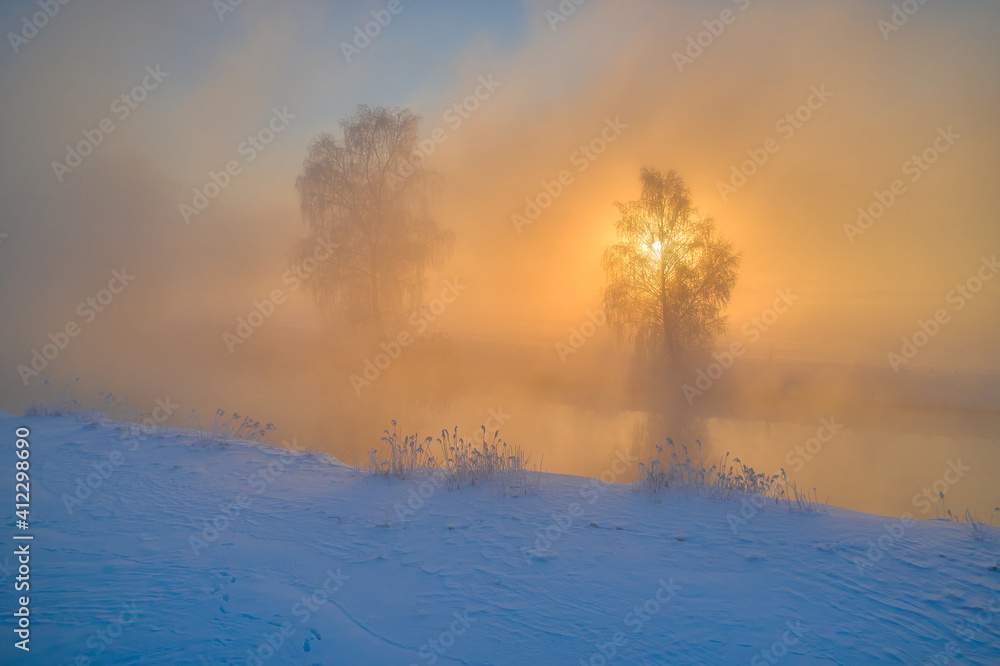 Incredible sunlight illuminates trees covered with frost. Crystal white trees in winter morning near river
