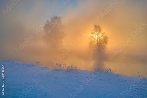 Incredible sunlight illuminates trees covered with frost. Crystal white trees in winter morning near river © korsarid