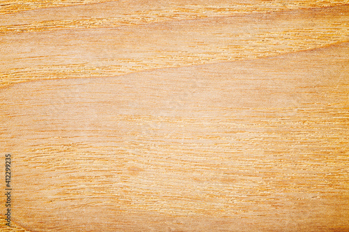 Wood wall background or texture. Natural pattern wood background