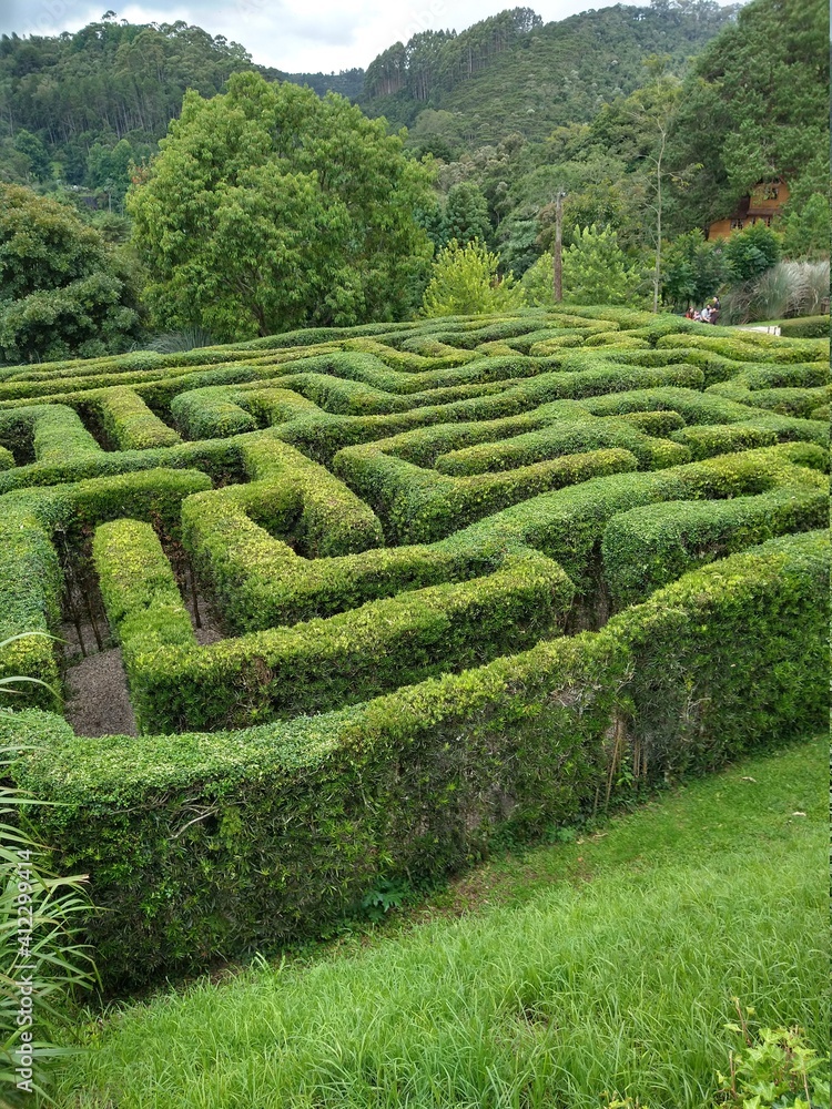 jardim jardim