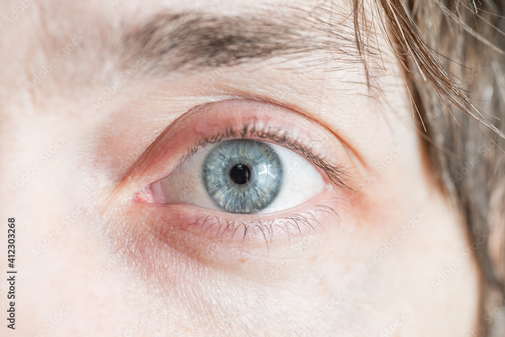 Obraz premium light gray-blue eye looks directly into the lens. Close-up
