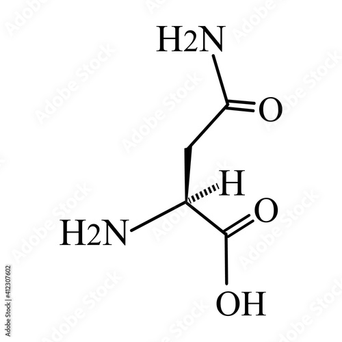 Asparagine is an amino acid. Chemical molecular formula Asparagine is amino acid. Vector illustration on isolated background
