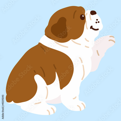 Flat cute dark brown colored bulldog sitting and shaking hands