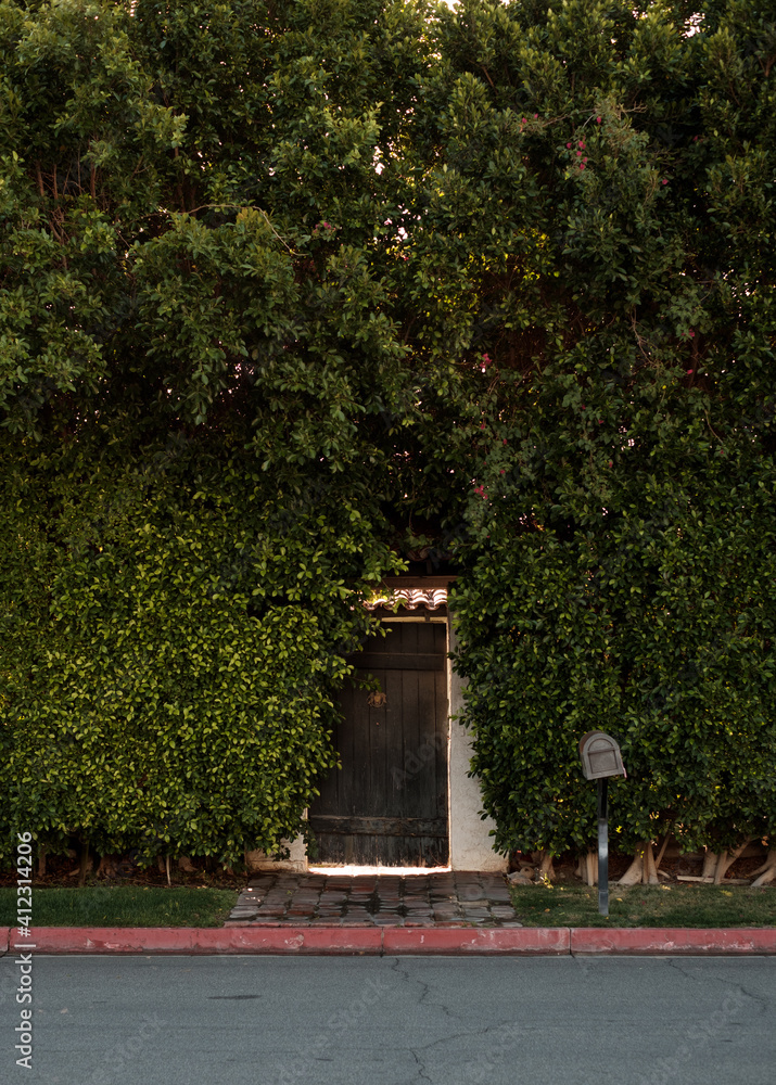 A rustic gate in a large hedge wall outside a residence A rustic gate in a large hedge wall outside a residence