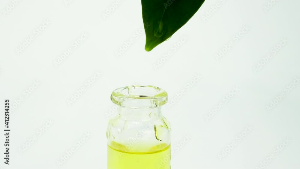 tea tree essential oil in small bottles. selective focus. tea tree essential oil in small bottles. selective focus.