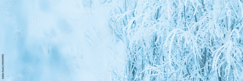 Snow and rime ice on the branches of bushes. Beautiful winter background with trees covered with hoarfrost. Plants in the park are covered with hoar frost. Cold snowy weather. Cool frosting texture. Snow and rime ice on the branches of bushes. Beautiful winter background with trees covered with hoarfrost. Plants in the park are covered with hoar frost. Cold snowy weather. Cool frosting texture.