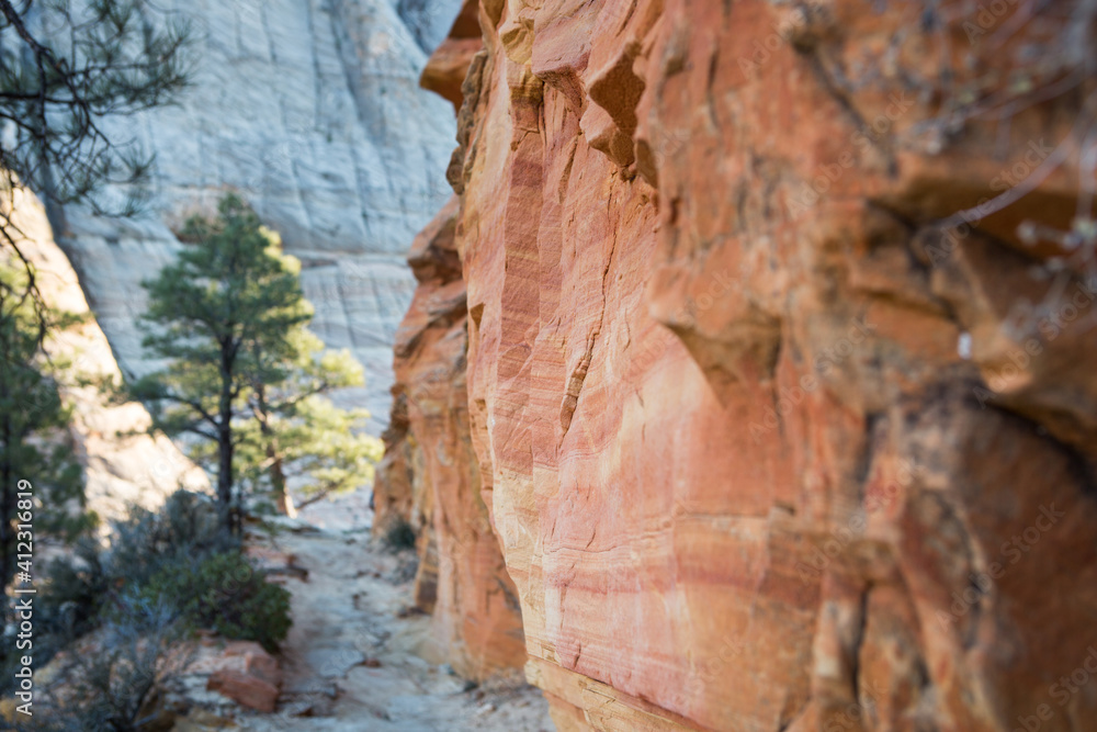 Dreamy Orange Rocks Along Remote Hiking Trail Dreamy Orange Rocks Along Remote Hiking Trail
