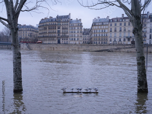 Canvas Print The Seine river in floods in Paris