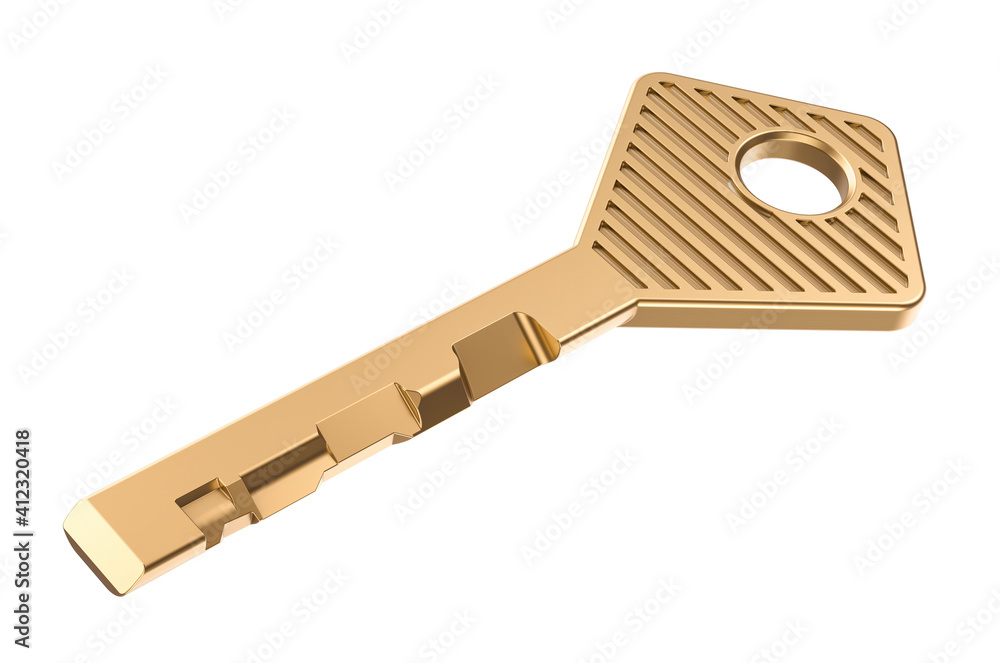 A key for a disk tumbler lock, 3D rendering A key for a disk tumbler lock, 3D rendering