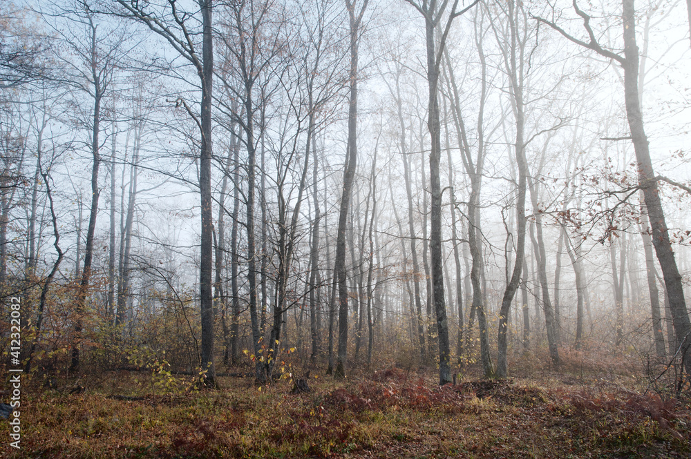 Autumn landscape Autumn landscape