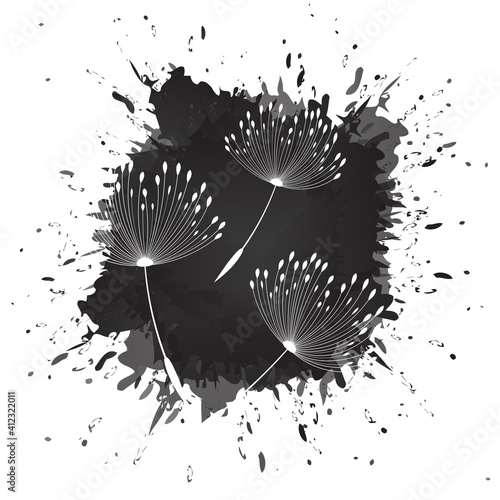 Abstract black splash watercolour with dandelion seeds. Watercolor hand drew spring tender flowers - dandelions on the white isolated vector illustration background. Perfect for cards, cover, textile.