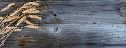 Overhead view of dried wheat stalks or ear on weathered wooden planks