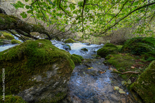 Fototapeta Naklejka Na Ścianę i Meble -  Birth of the Cadagua River under the native forest