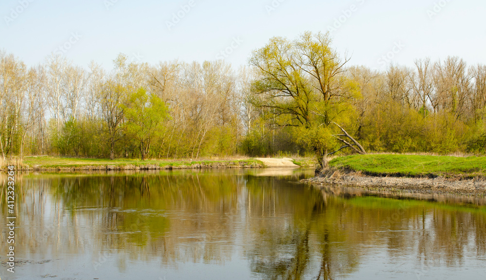 Spring landscape with a river and a grove of trees reflecting in the river. Soft green tones