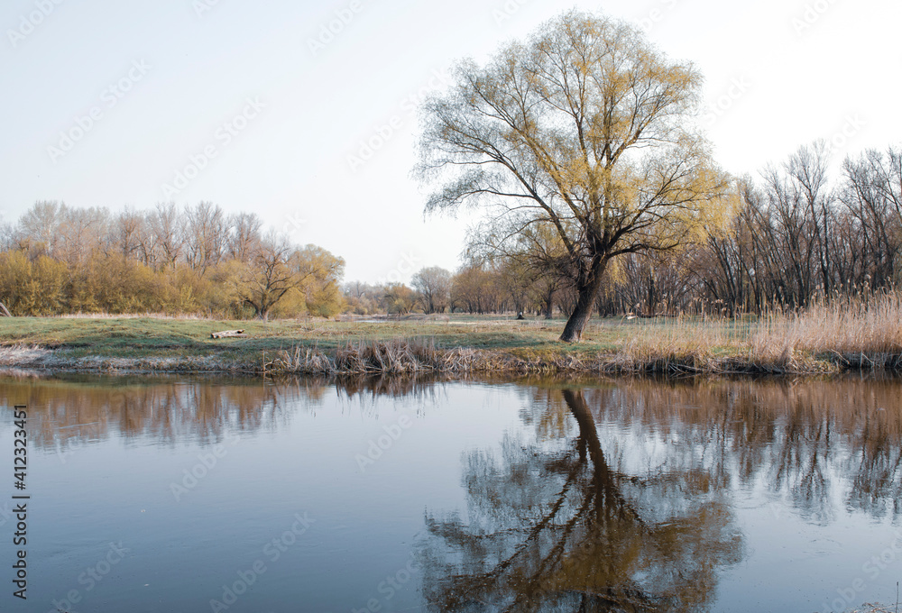 A lonely tree on the river bank is reflected in the water. Cold spring frosty colorless morning. Cold frosty landscape A lonely tree on the river bank is reflected in the water. Cold spring frosty colorless morning. Cold frosty landscape