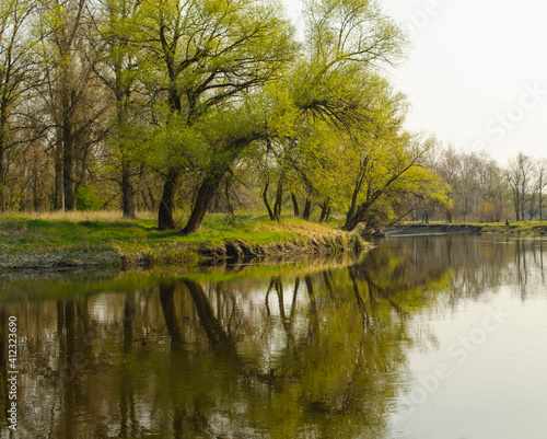 Spring landscape with a river and a grove of trees reflecting in the river. Soft green tones