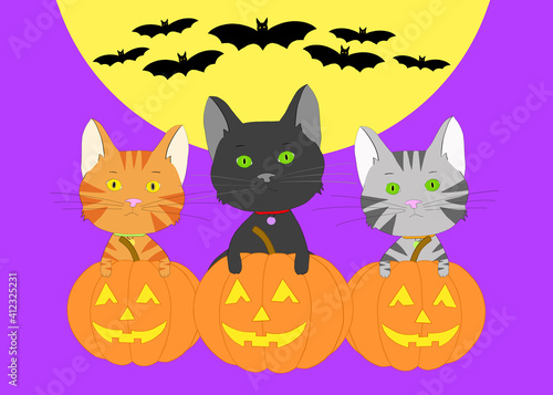 Illustration hand drawn sketch of three kittens on pumpkin jack-o-lanterns looking at viewer, Bats flying in light of the moon. Purple background.