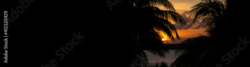 Sunset through palm tree silhouette. Long banner