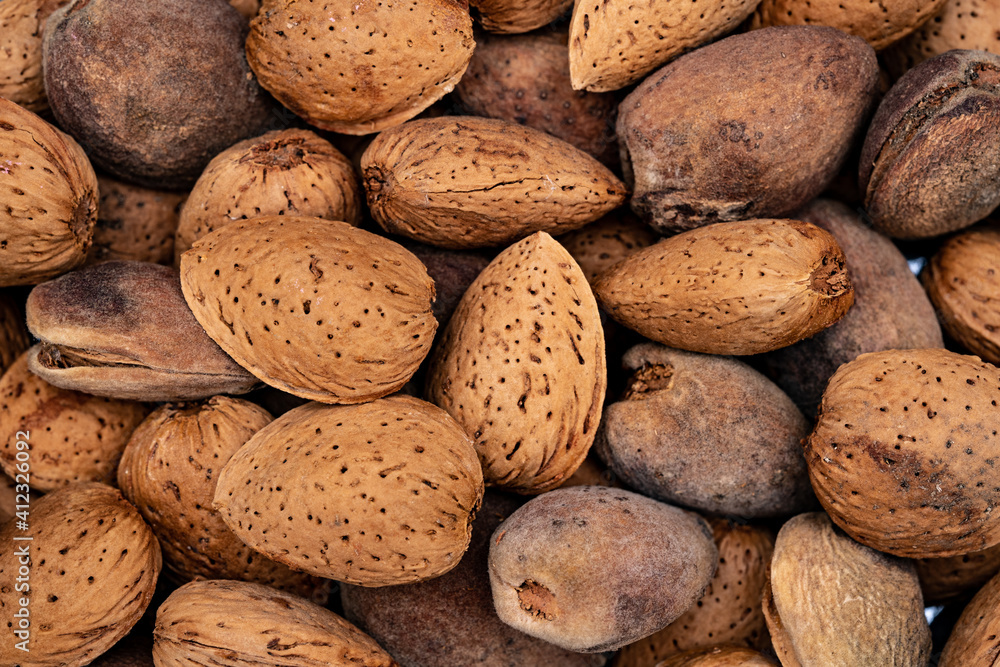 Raw Almond shell background with nut shell cracker hammer Raw Almond shell background with nut shell cracker hammer