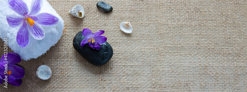 Spa still life with black stones, violet crocus and towel.
