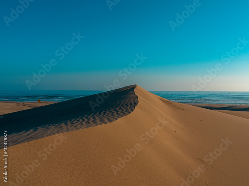 Fototapeta Naklejka Na Ścianę i Meble -  patara