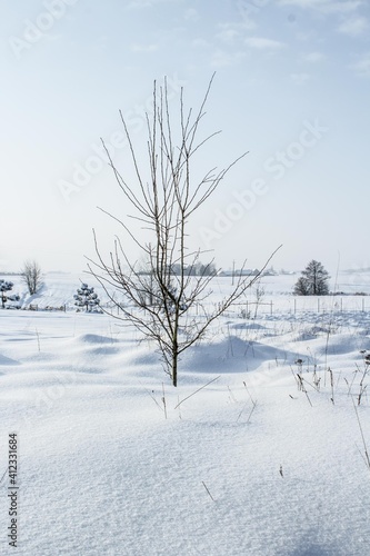 Snow-covered landscape after heavy snowfall, snowstorm in Europe and very low temperature during winter 2021 © Glinky