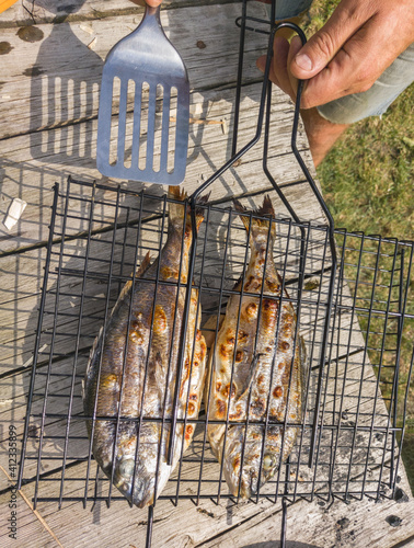 Fresh Grilled Gilt-head Bream photo