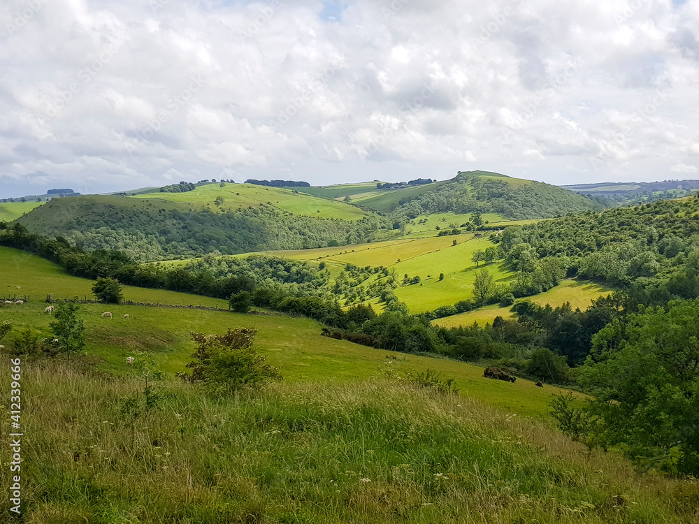 landscape with hills